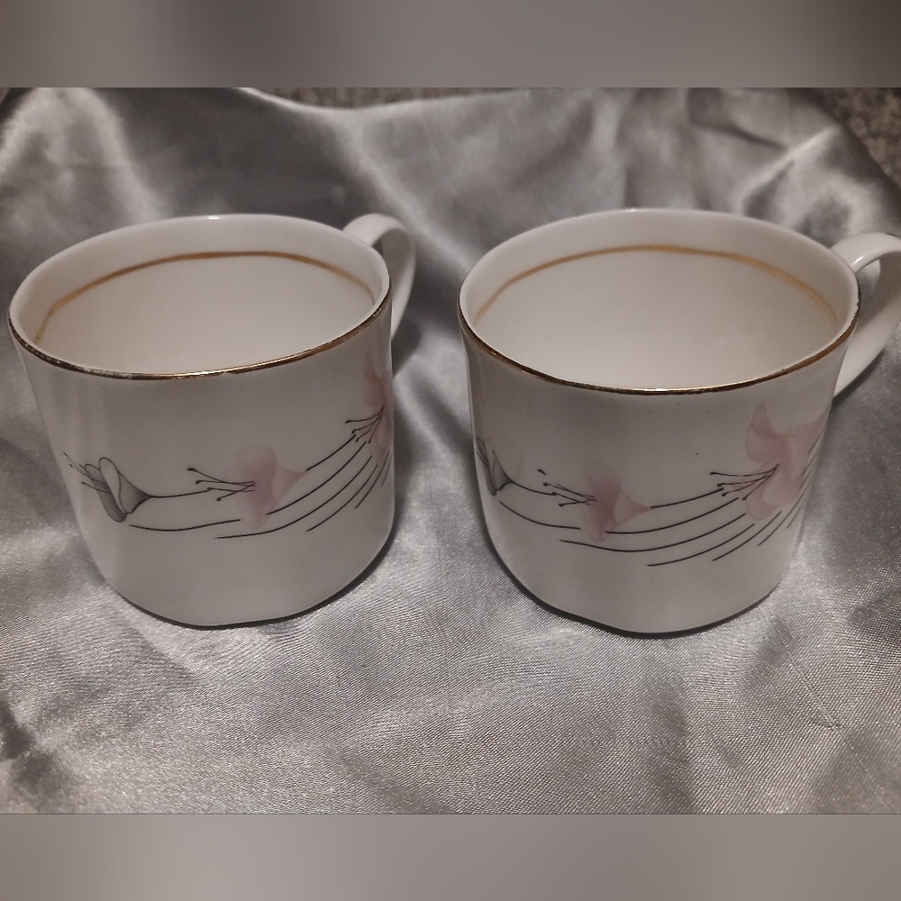 Vintage Bone China White and Pink Teacup Set